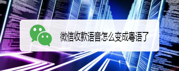 微信收款语音怎么变成粤语了