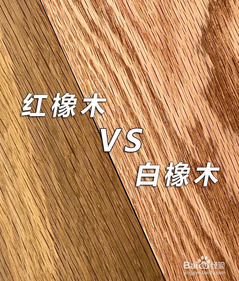 红橡木和白橡木有哪些区别？