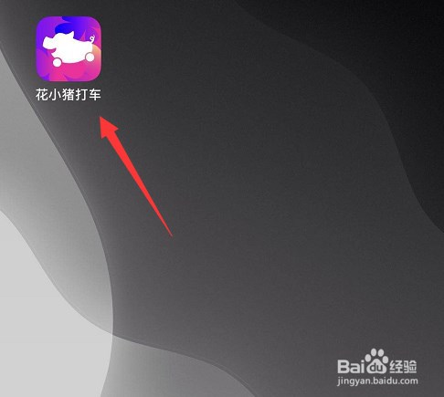 怎么查看花小猪打车开票历史