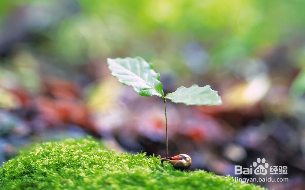 如何预防日光性皮炎