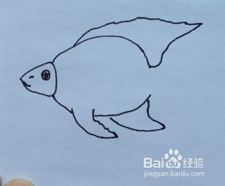 鱼的简笔画怎么画？