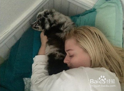 癫痫女孩病魔加身,最后与服务犬一见钟情,看哭