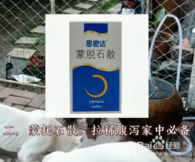 家中养狗必备物品有哪些？