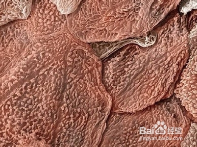 皮肤是如何吸收护肤品中的营养成份的呢?