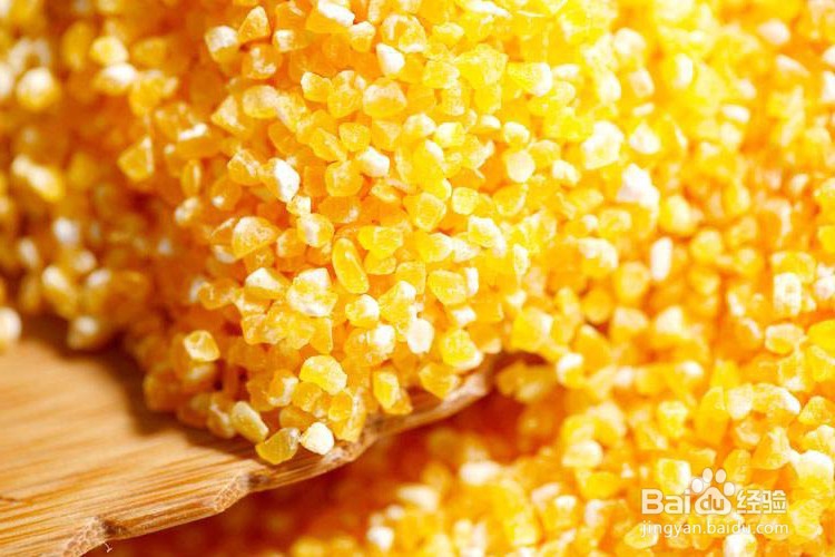 冬季钓鲤鱼玉米饵料配方