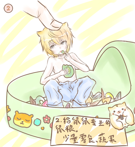 仓鼠饲养基础手册