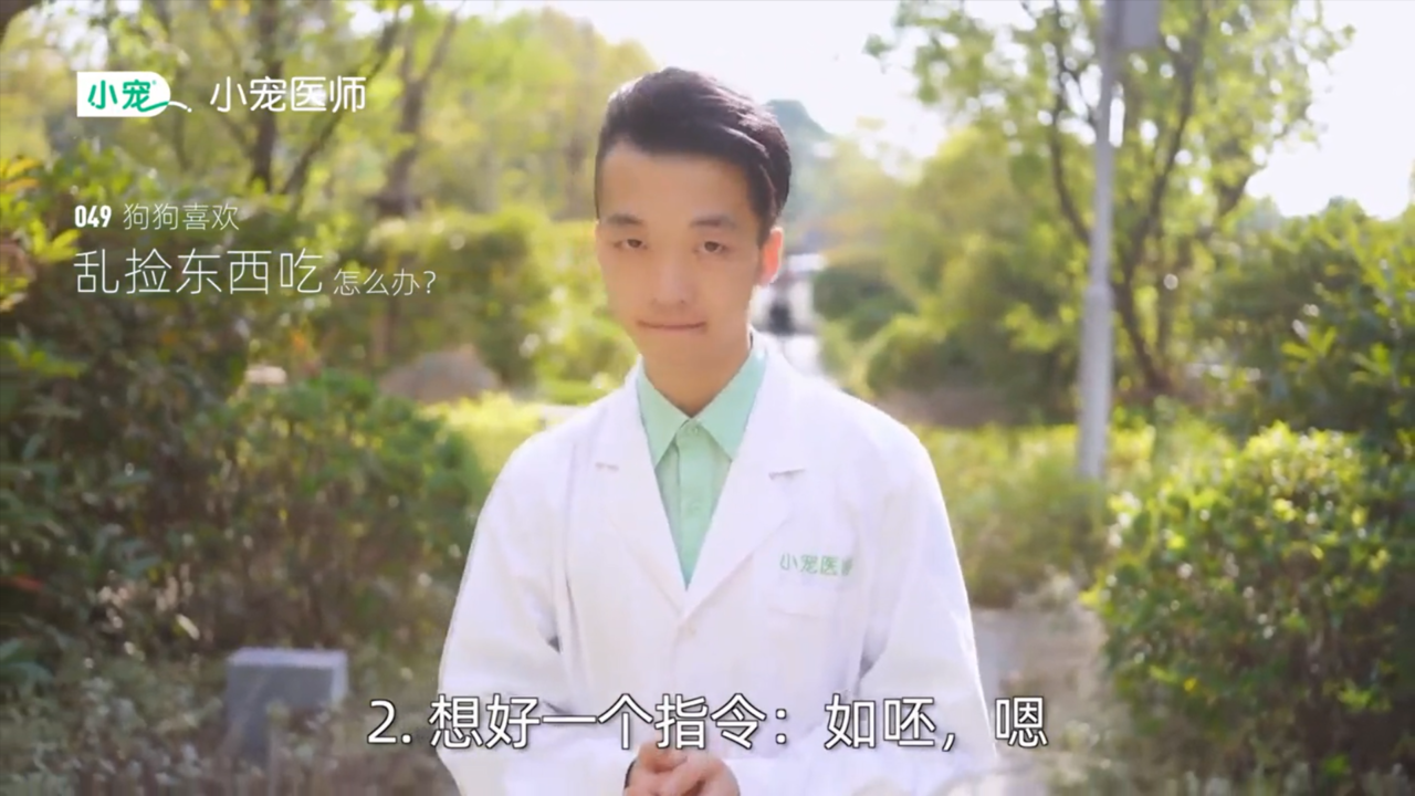 狗狗乱捡东西吃怎么办