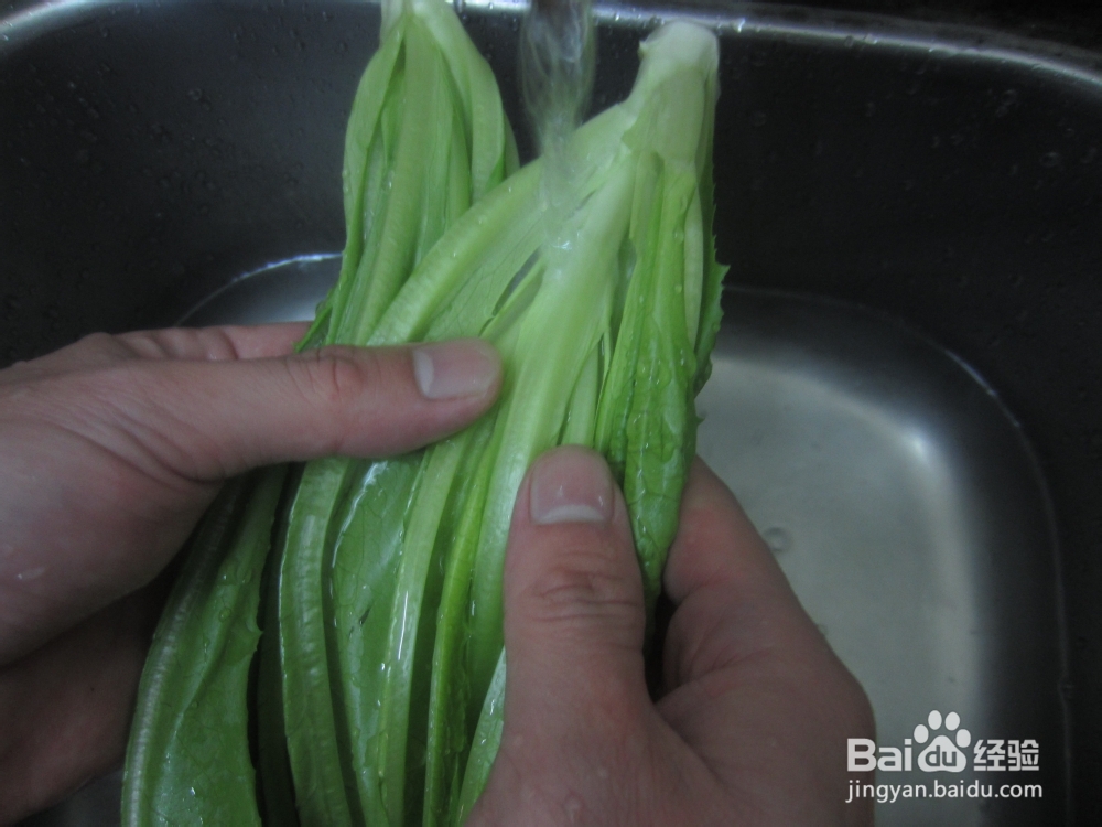 家常菜—清炒油麦菜