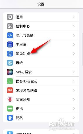 苹果手机口述影像怎么开启