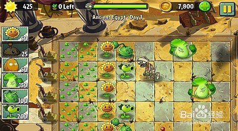 植物大战僵尸2地攻略