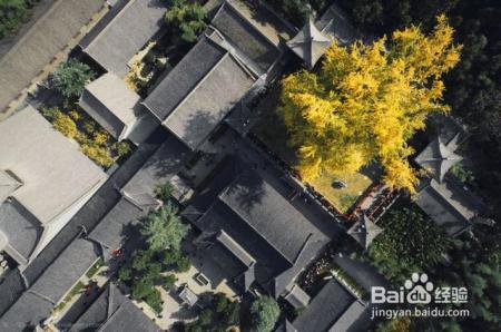 中国秋色最美5个地方，一生至少去一次