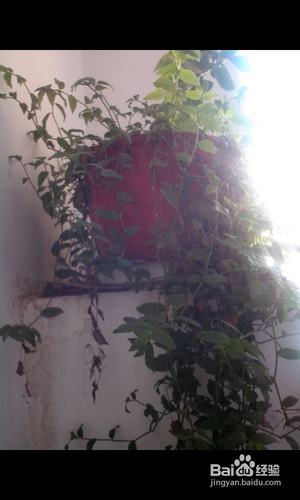 【安卓APP】美图看看新手测评