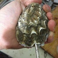 分享蒜香百味传奇烤海蛎子的做法步骤