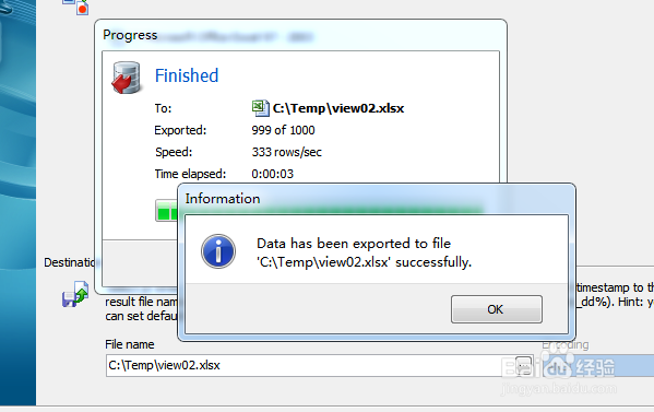 如何用Maestro导出视图记录到EXCEL2010格式文件