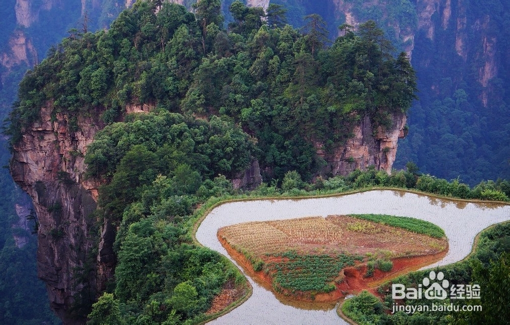 梧州到张家界自驾游