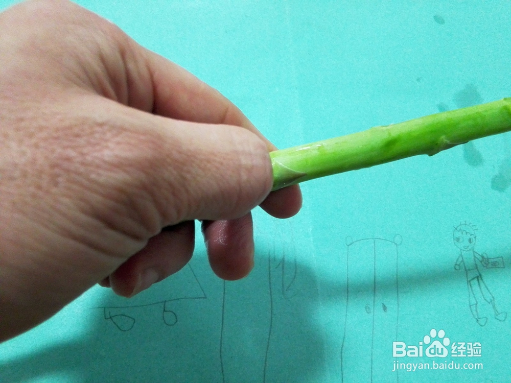 家常菜&瘦肉红椒炒芦笋的做法