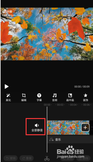 视频怎么消音人物对话
