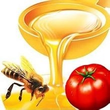 <b>西红柿蜂蜜面膜</b>