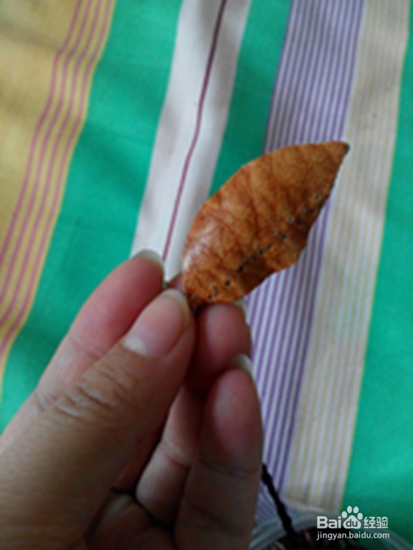 旧皮包改造——系列作品