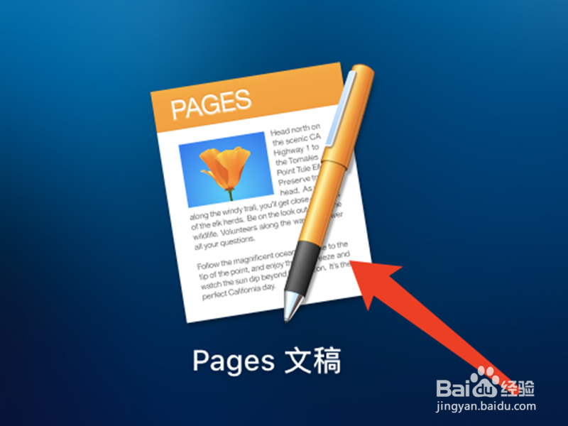Pages中怎么保存PDF格式的文件