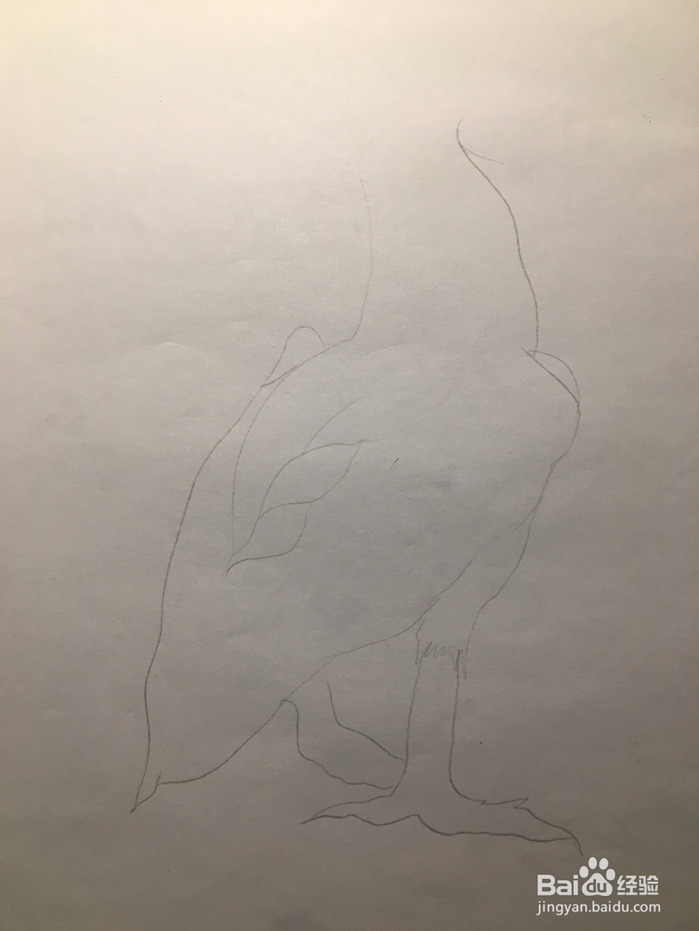 画一只长嘴巴的鸟儿 简笔画之鸟儿 儿童画 线描