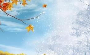 拉稀的常见原因和调理方法