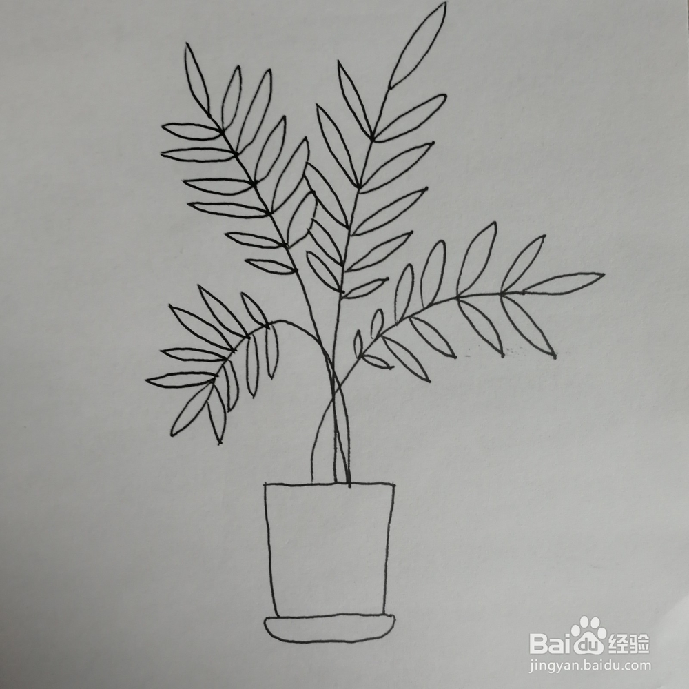 绿色盆栽简笔画怎么画