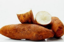 雪莲果和红薯的区别