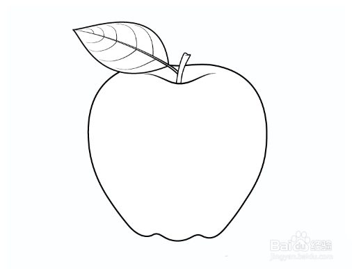 苹果叶子图片 简笔画图片