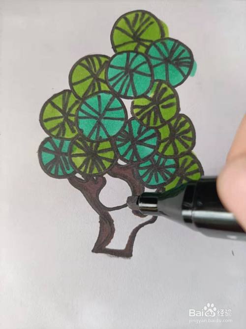 松树的简笔画怎么画?