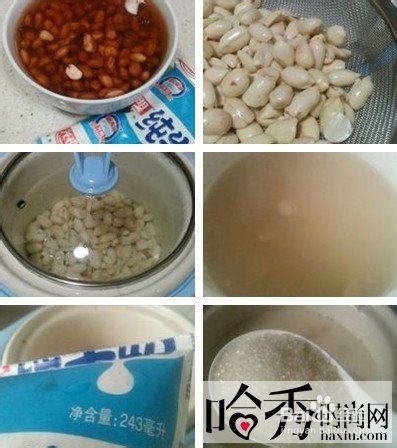 花生牛奶的做法