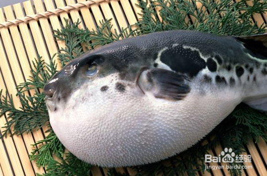 在外旅游时要注意不要误食的美味