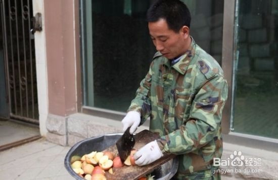 熊崽尿尿怎么办