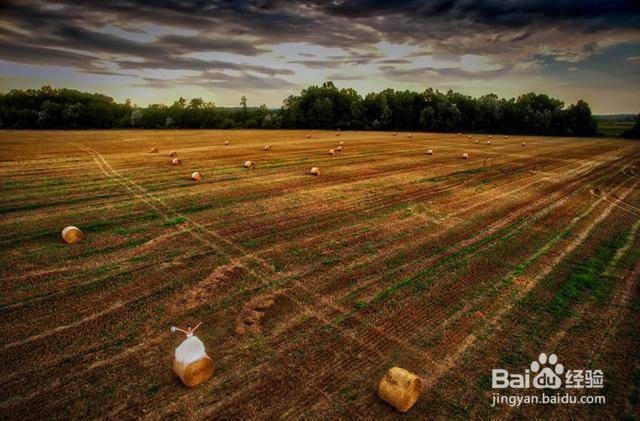 无人机航拍常用构图技巧