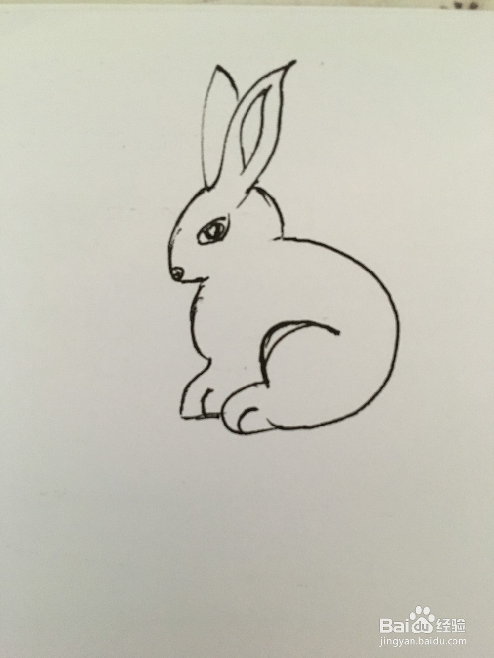 幼儿简笔画动物：小白兔的画法