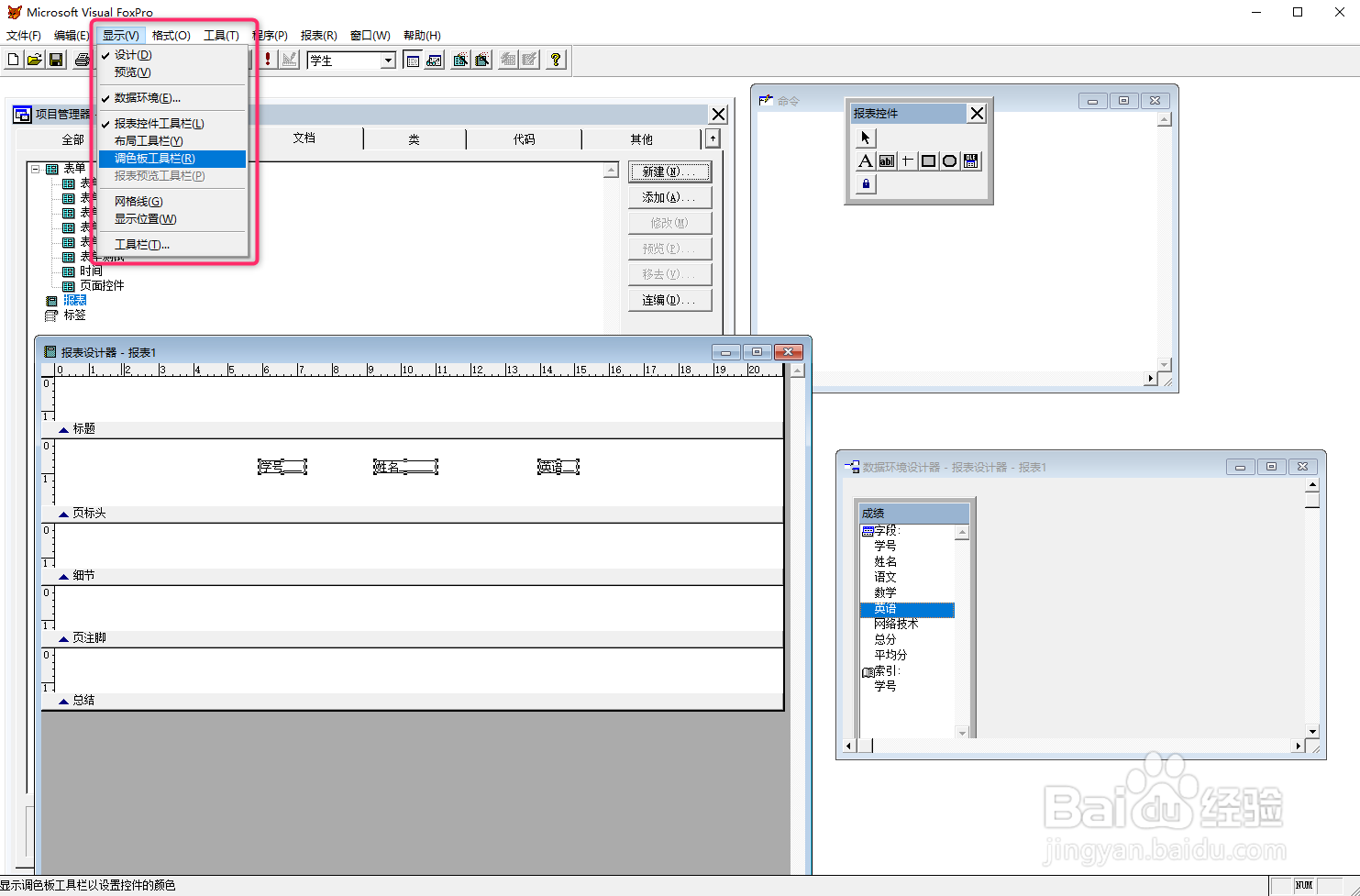VF6.0报表设计，设置控件颜色