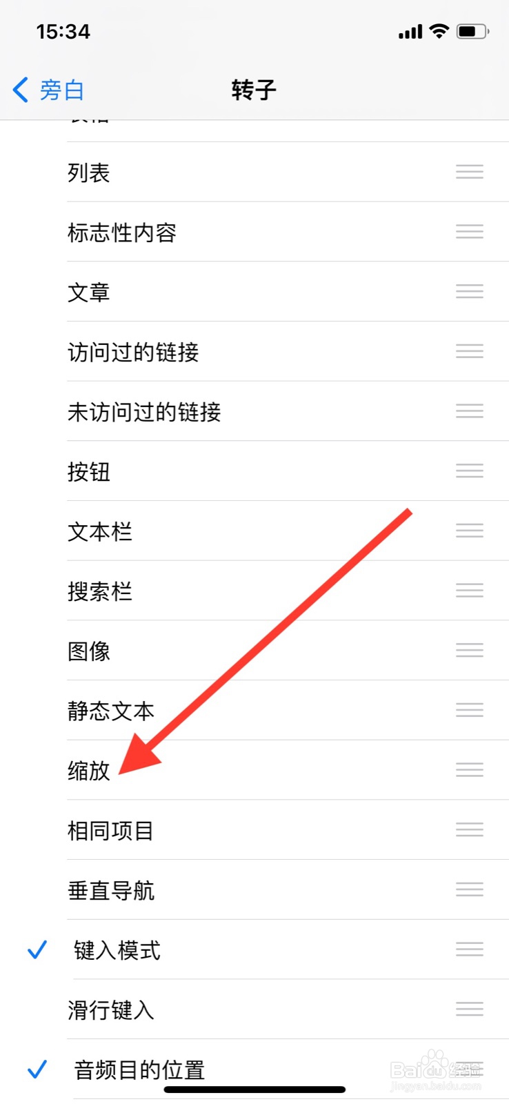 iPhone旁白转子怎样开启“缩放”指令