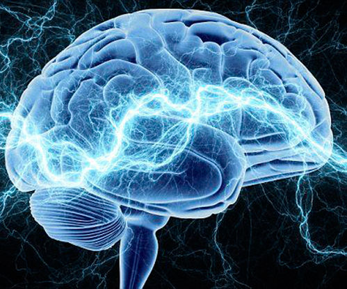 给大脑充电的方法