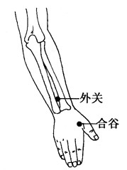 百病拔罐：[27]面瘫的拔罐疗法