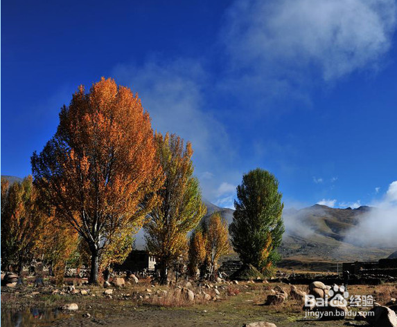 出外旅游观景看美貌找到自己心中的香格里拉