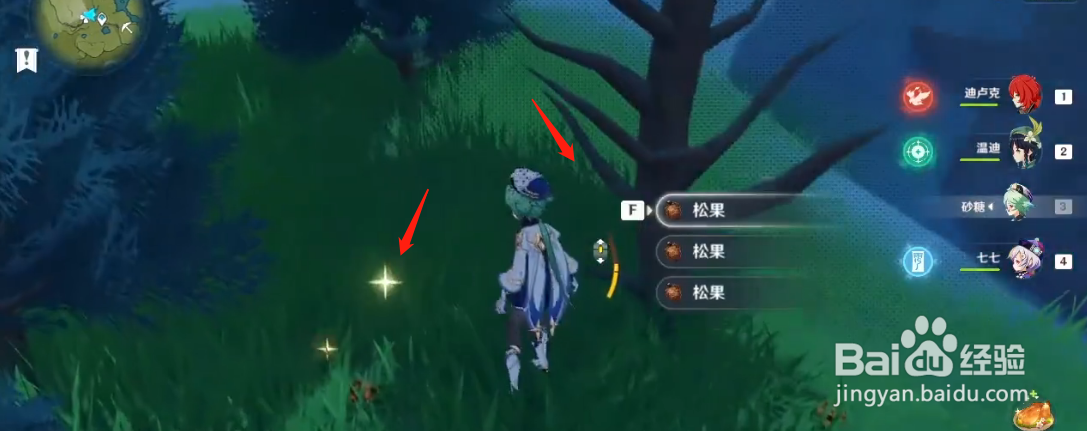 原神百货奇货立本松果在哪里获得