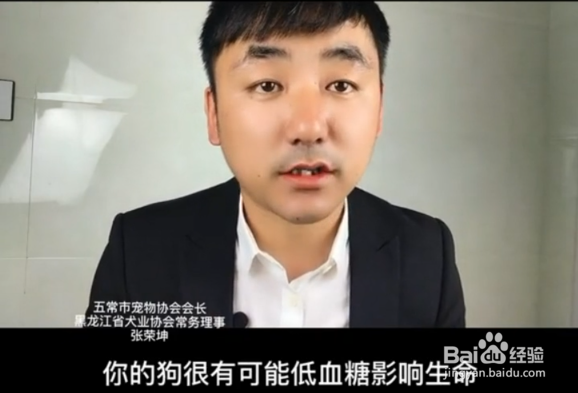 狗狗可以饿几天