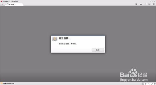 AnyDesk使用教程