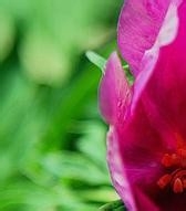 健康常识,你知道多少?2