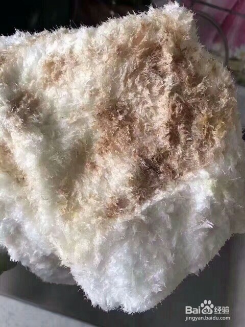 如何处理厨房墙壁上的油渍