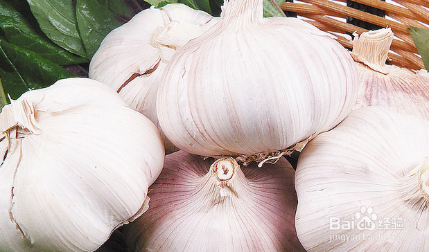 内科疾病的小偏方：[1]感冒的食疗，药疗