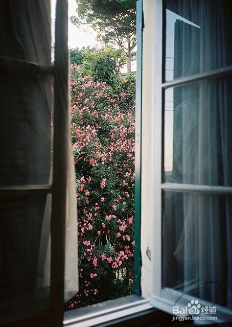 新房除甲醛妙招大全