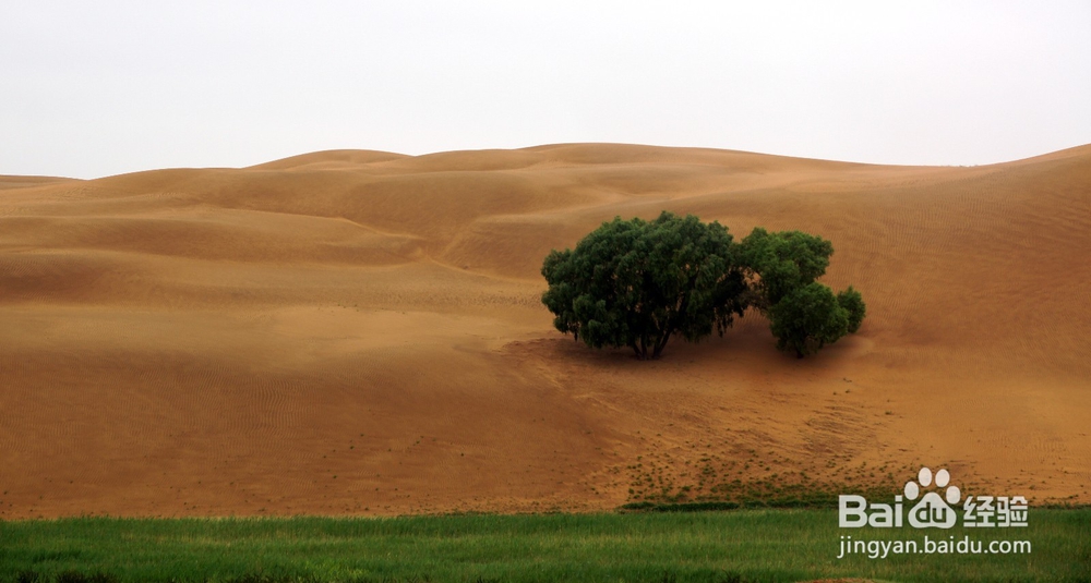 怎么样做一个成熟的人？