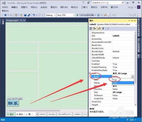 控件文本字体格式在Visual Studio中如何设置