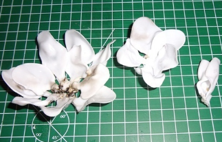 用一次性勺子自制一幅超美胸花的手绘